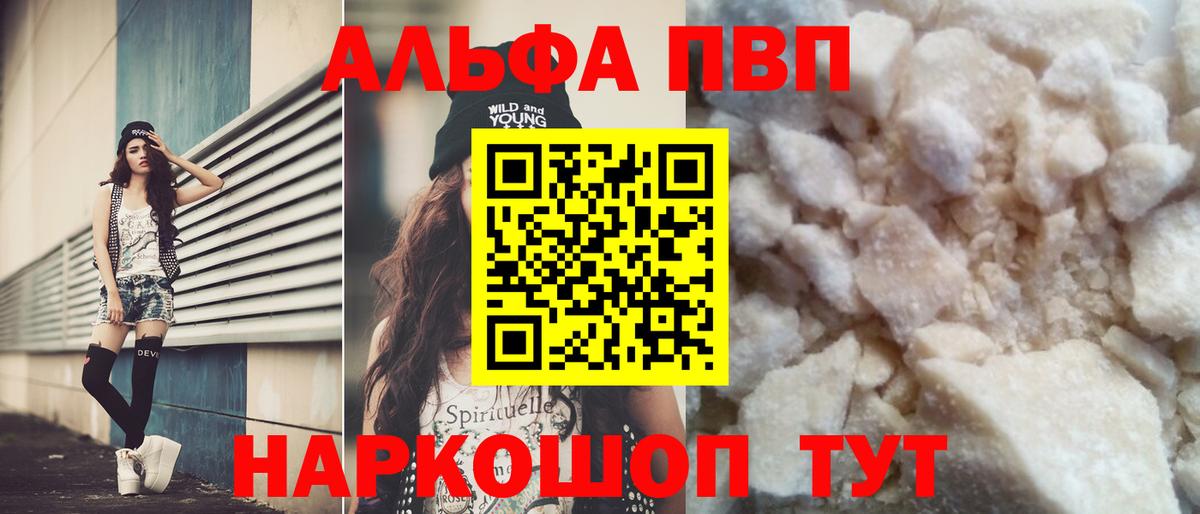 A PVP СК КРИС Волгоград