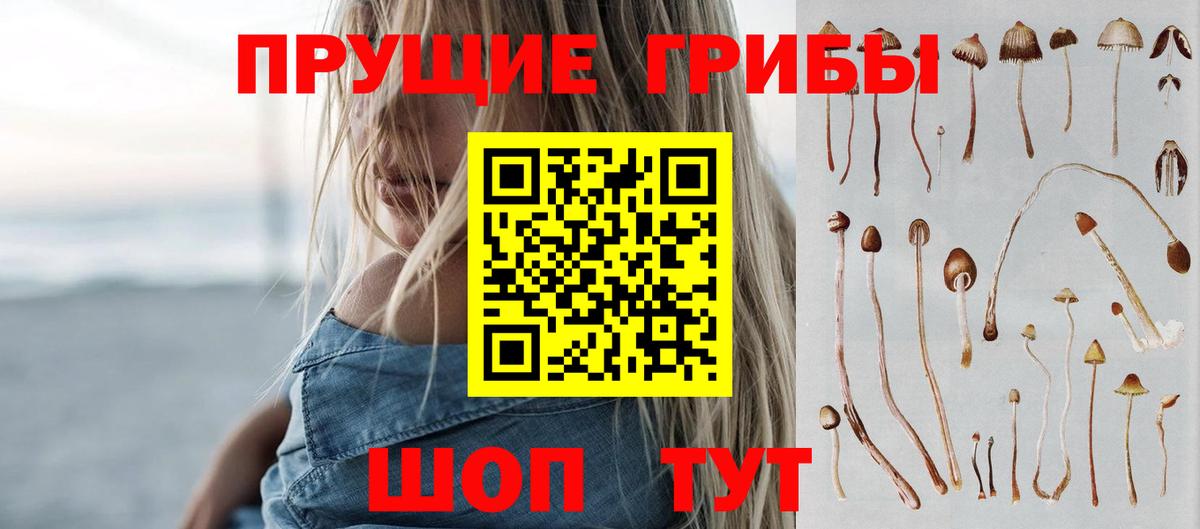 хочу   Псилоцибиновые грибы MAGIC MUSHROOMS  Вход с VPN  Волгоград 